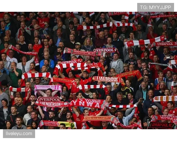 埃弗顿冲刺欧战资格，状态回升引发球迷新期待