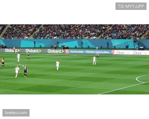 罗马尼亚世界杯征程：辉煌与遗憾交织的足球传奇