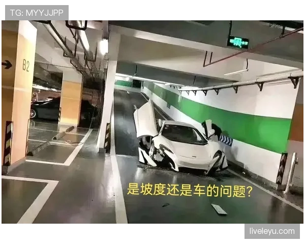 汪顺的日常光靠一个豪车车库，估计隔壁邻居都得羡慕哭