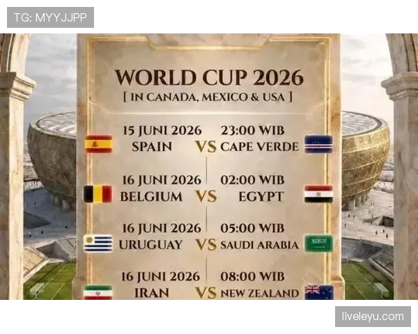 2026世界杯比分结果查询：6月已结束比赛完整整理